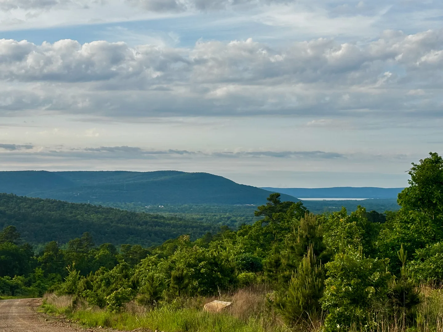 Wooded hills under a soft sky